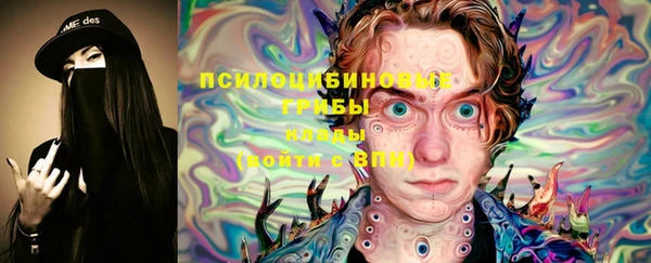 ГАЛЛЮЦИНОГЕННЫЕ ГРИБЫ Армянск